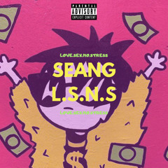 LSNS(Love Sex No Stress)