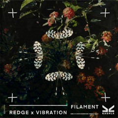Redge Vibration - Filament