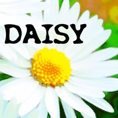Daisy And Her Bees