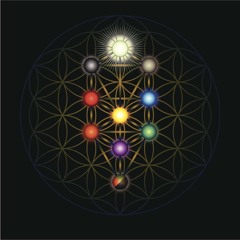 The Kabbalah of Character 2024 - Lesson 5: Gevurah & Tiferet | Rabbi Ari Sollish