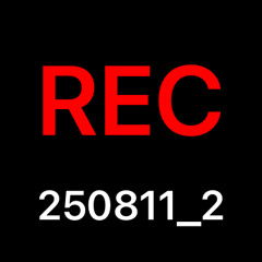 REC_20250811_2(1).wav