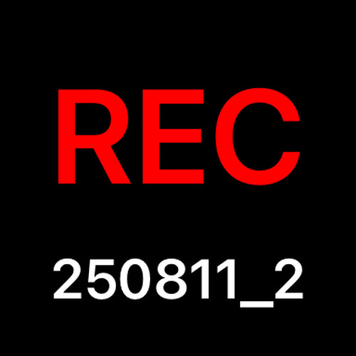 REC_20250811_2(1).wav