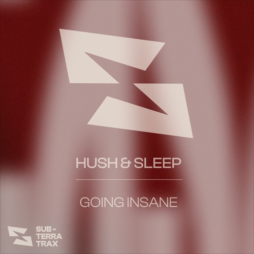 Hush & Sleep - Going Insane (Free Download)
