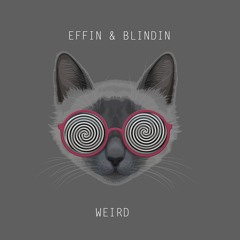 Effin & Blindin  Weird  (radio edit) mena music