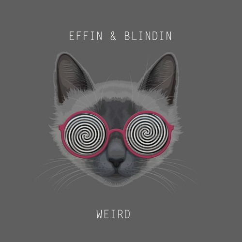 Effin & Blindin  Weird  (radio edit) mena music