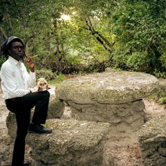 black frank white (Fast)