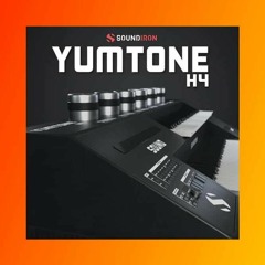 Soundiron Yumtone H4 (KONTAKT) music sound add Download production