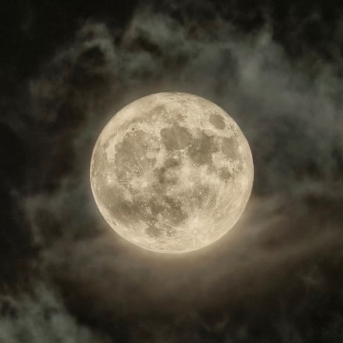 Feminine Energy | Tribal Bass • Organic Downtempo • Ecstatic Dance • Awakening Mix