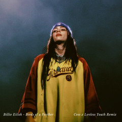 Billie Eilish - Birds of a Feather (Cees x Lovless Youth Remix) * Pitched for Soundcloud *