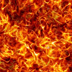 Flexxxp x Kye (NoHook)