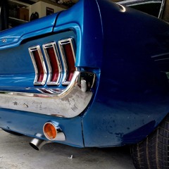 Mustangs