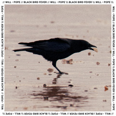 Black Bird Fever