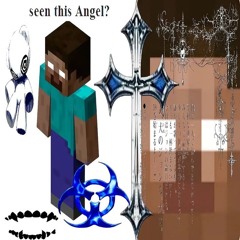 🪽angel wings🪽