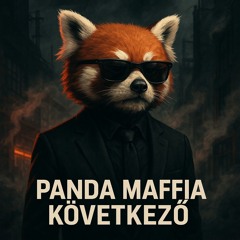 PANDA MAFFIA RAZZIA a sithek ellen