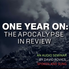 One Year On:  the Apocalypse in Review