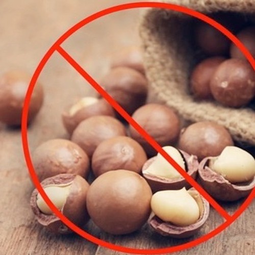 Stream episode It was nuts, man. Macadamia nuts! by The Auxiliary