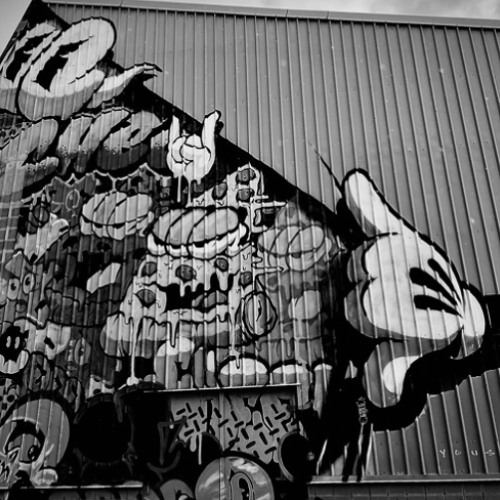 6/20/25 Widdler Support Set