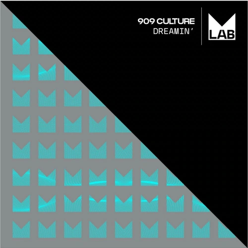 Artwork for the song 909 Culture - Dreamin by 909 CULTURE on Next Sound