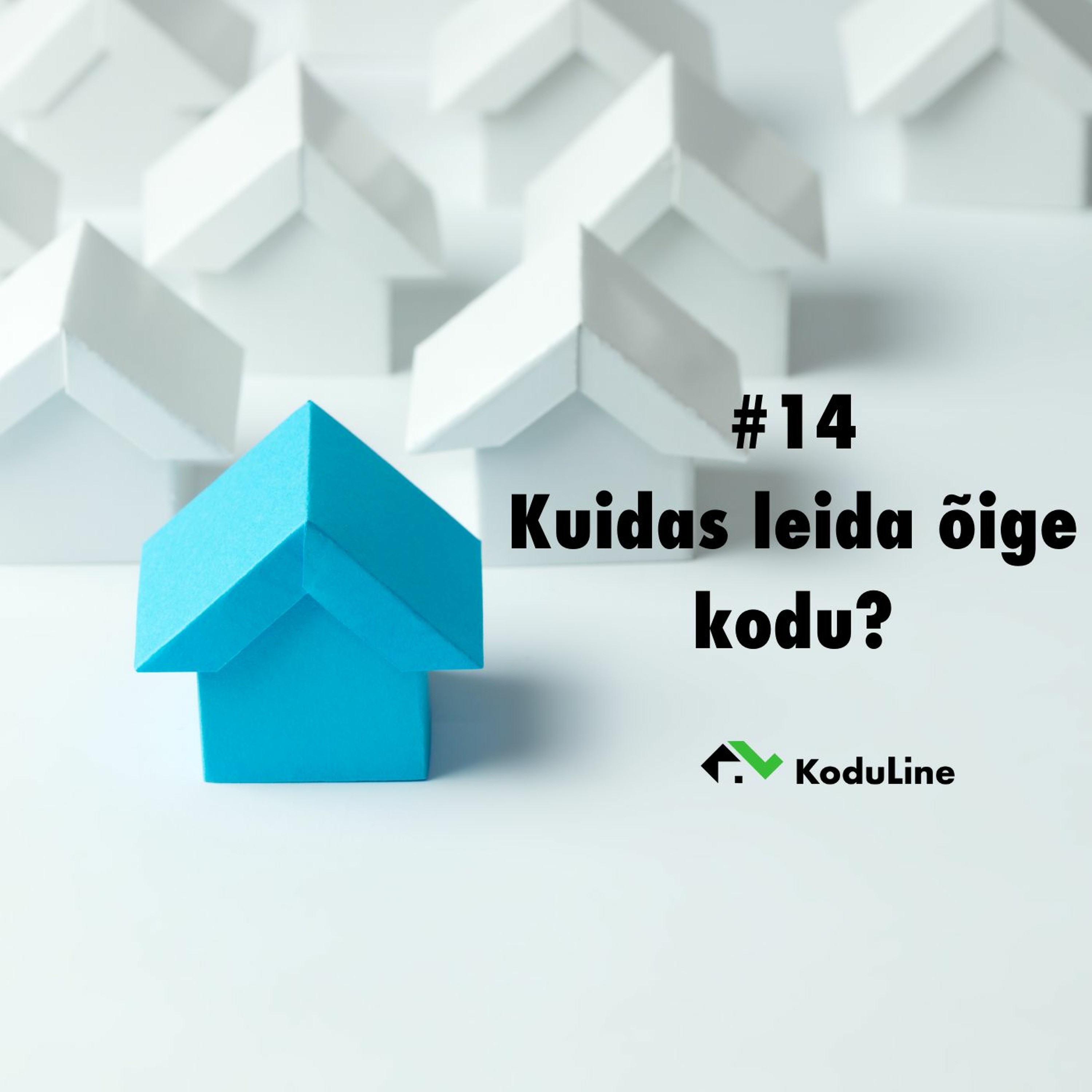 #14 Kuidas leida õige kodu?
