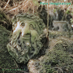 Pure Imagination