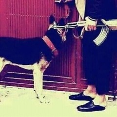 тыща блядей