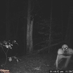 snipers only [33kami]