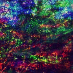 broenbaer says you're walking into the forest (but they can't guide you back)