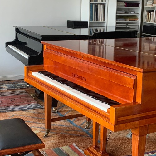 Franz Liszt Romance S.169