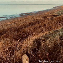 you are