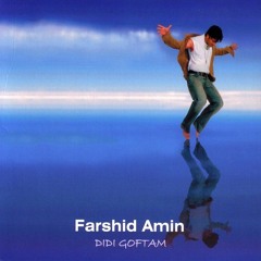 Farshid Amin - Didi Goftam | فرشید امین - دیدی گفتم
