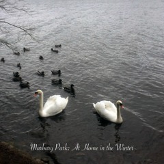 Marbury Park: At Home in the Winter