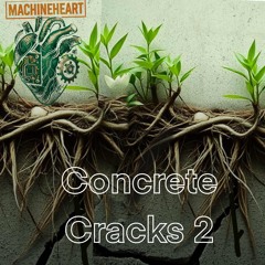roots break stone 2.wav