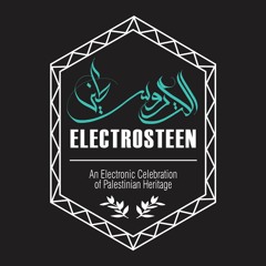 Electrosteen - Made In Palestine Project ※Mostakell Records※