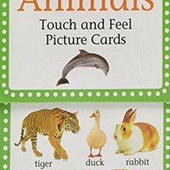 [View] EPUB KINDLE PDF EBOOK My First Touch & Feel Picture Cards: Animals (MY 1ST T&F PICTURE CARDS)