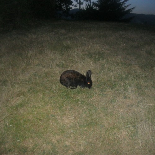 Stream smooth mad man by (@Trajanrogue) Trajan Rogue