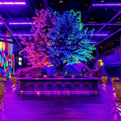 Oddwood @ Area 15 Las Vegas Jan '21 - Live Cut
