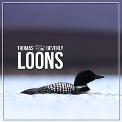 AMB10 Loons - Part 1