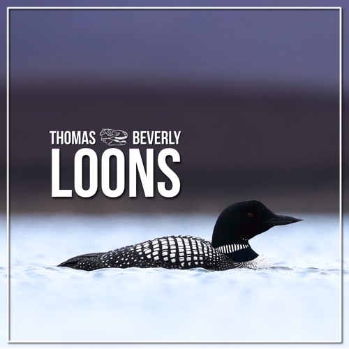 AMB10 Loons - Part 1