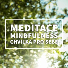 MEDITACE Chvilka pro sebe: Základní praxe mindfulness (všímavosti)