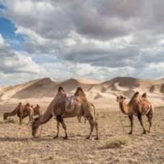 Tinashe - Nasty (The Remix)