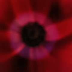 מכורה לעניין - אורלי מזור-יובל