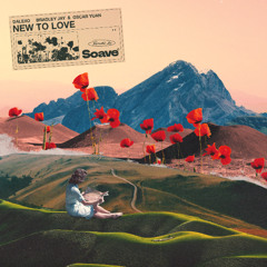 DALEXO, Bradley Jay & Oscar Yuan - New To Love