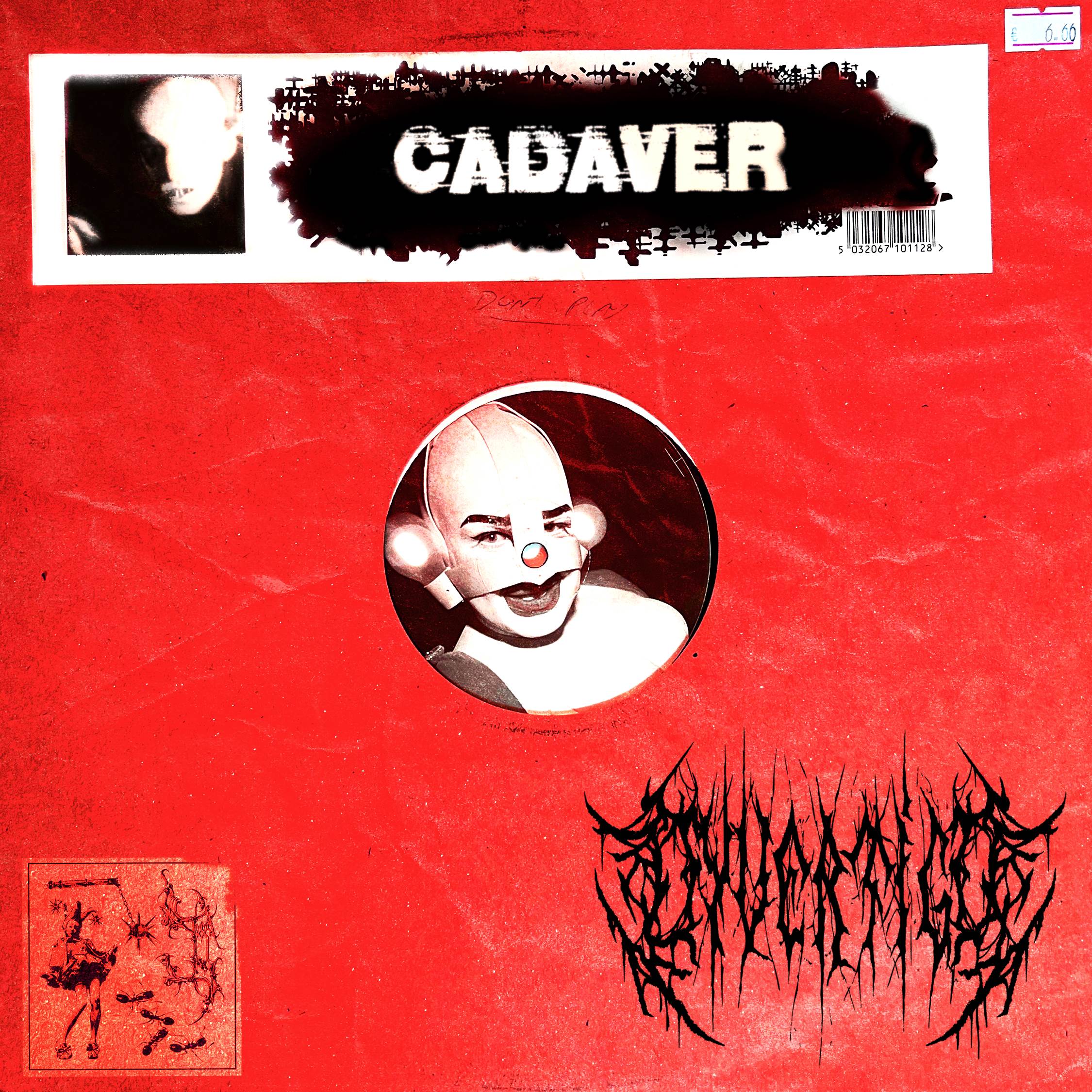 CADAVER