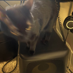 secret dj mix feb 2025