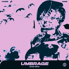 SAGE x haydys - Umbrage [skxrp. remix]