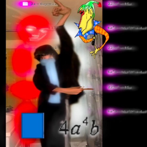 Fin