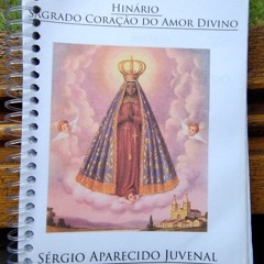 13-Sagrado Coração do Amor Divino
