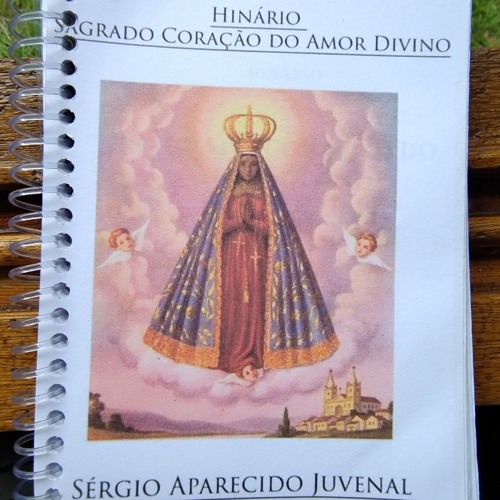 13-Sagrado Coração do Amor Divino