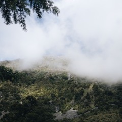 Te Kohu o Pikikirunga