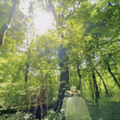 Як моя цариця